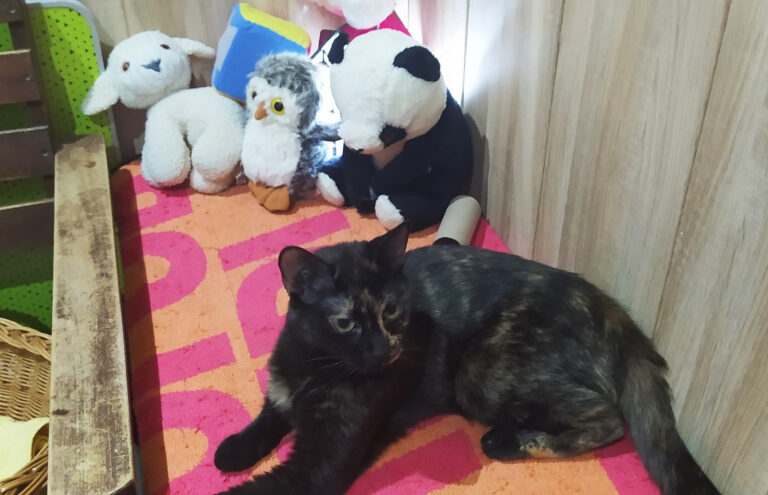 multimedia-foto65722-719-1