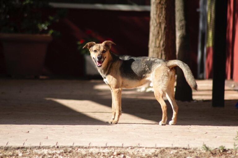 multimedia-foto65730-427-1