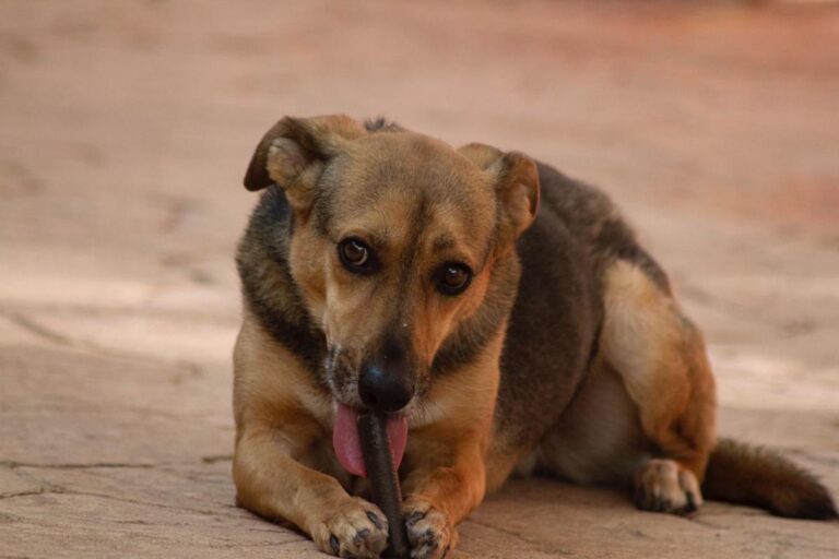 multimedia-foto65731-427-1