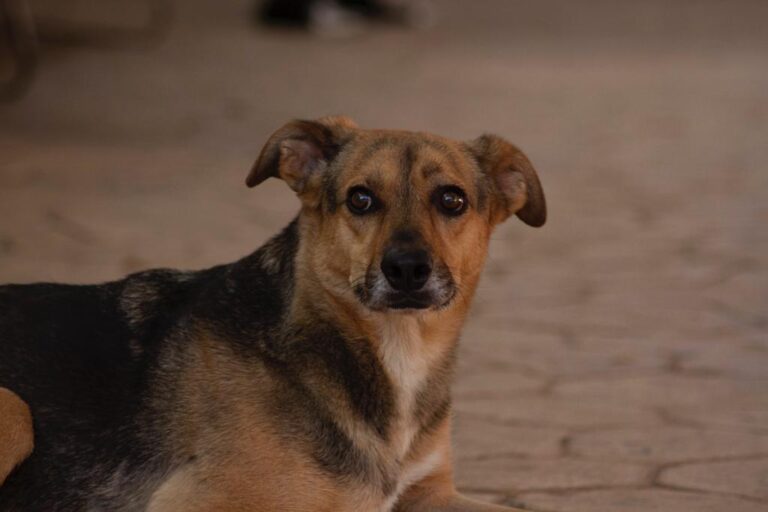 multimedia-foto65733-428-1