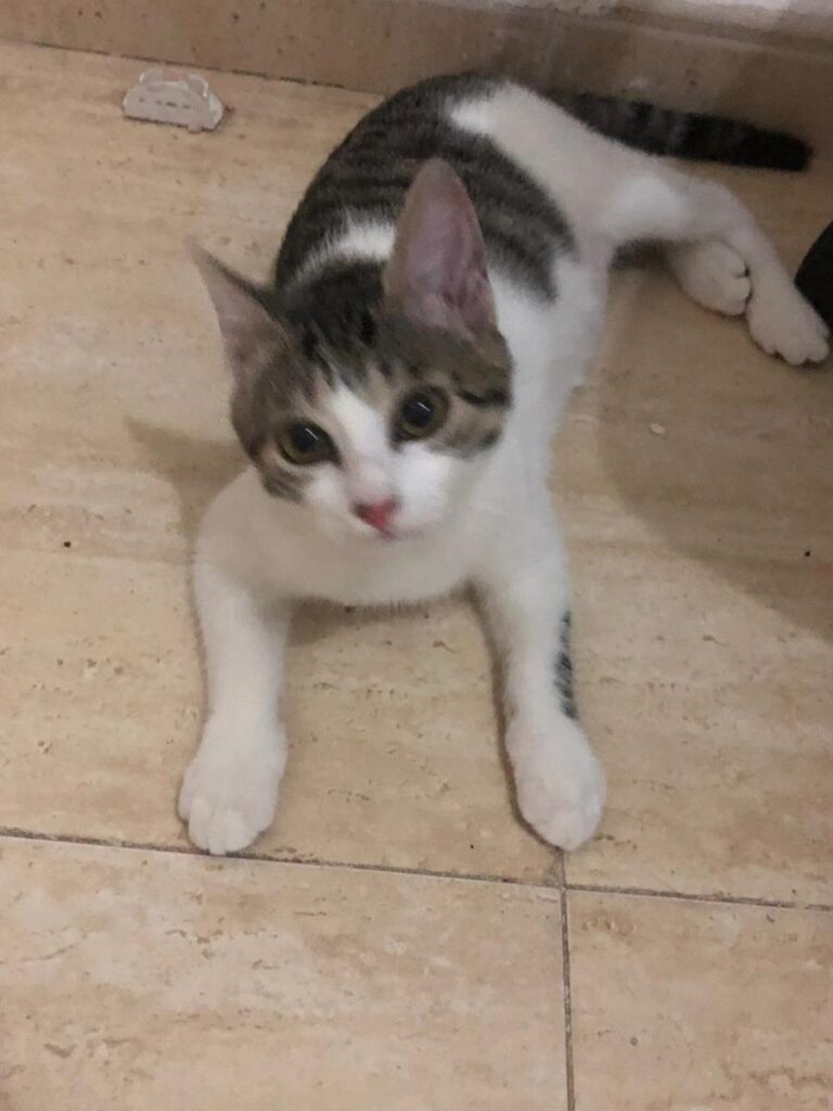 multimedia-foto65744-138-1