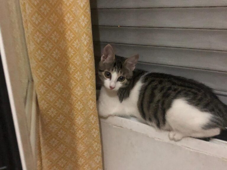 multimedia-foto65746-139-1