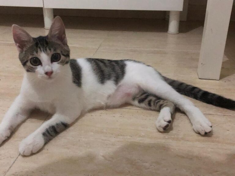 multimedia-foto65748-140-1