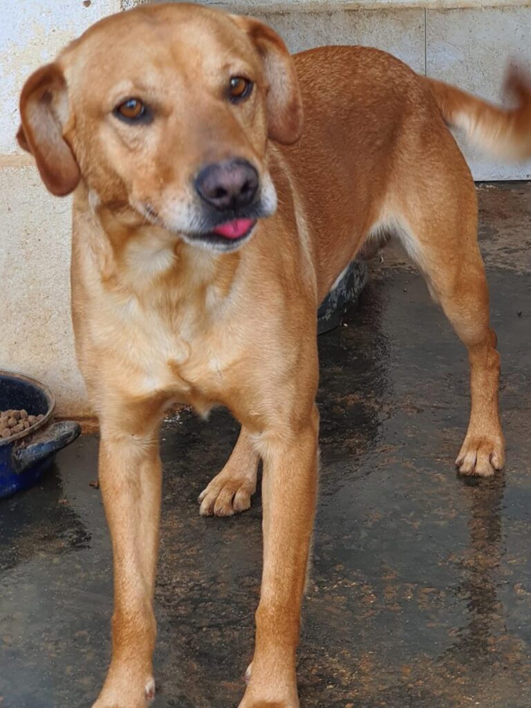 multimedia-foto65749-966-1