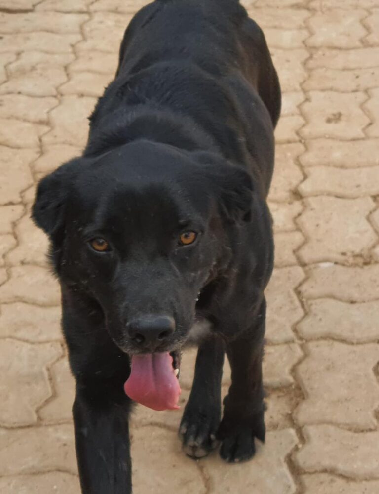 multimedia-foto65760-606-1