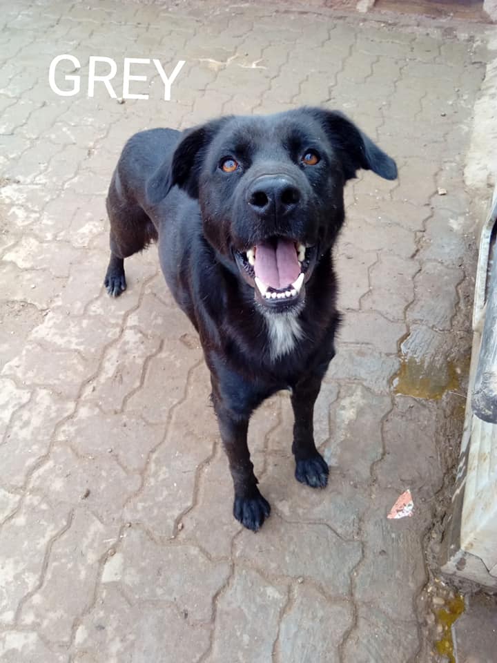 multimedia-foto65762-608-1