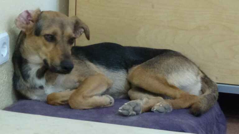 multimedia-foto65766-231-1