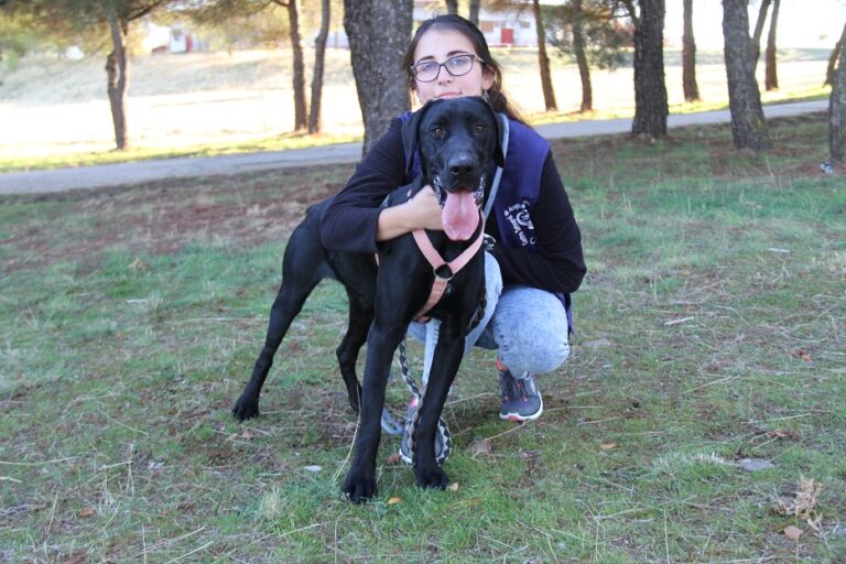 multimedia-foto65785-400-1