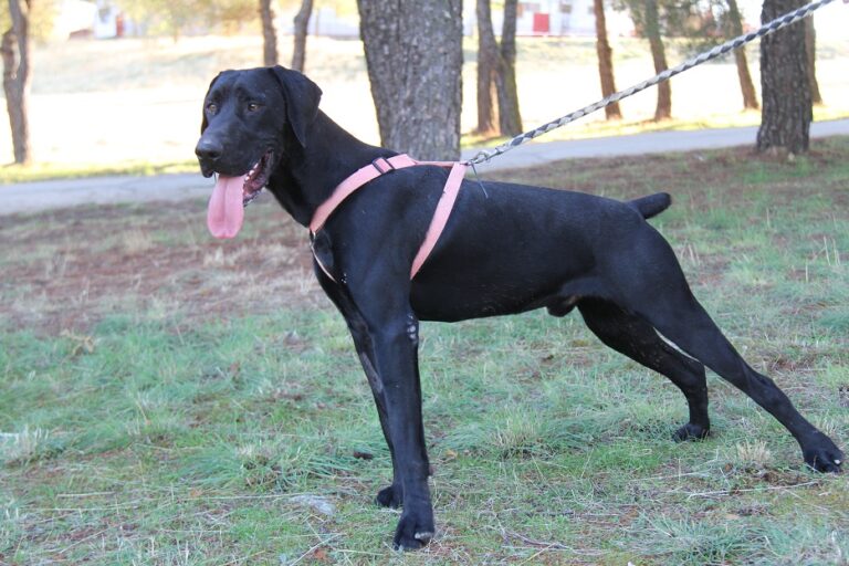 multimedia-foto65786-400-1