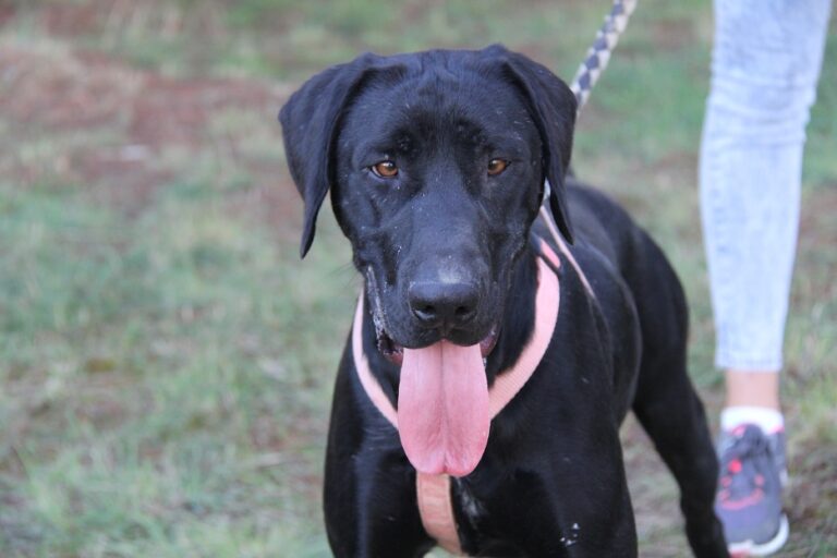 multimedia-foto65787-401-1