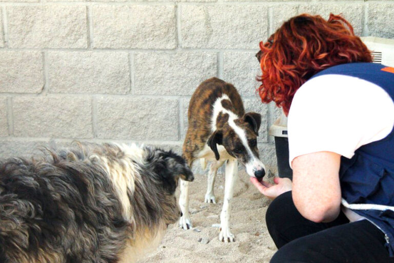 multimedia-foto65792-266-1