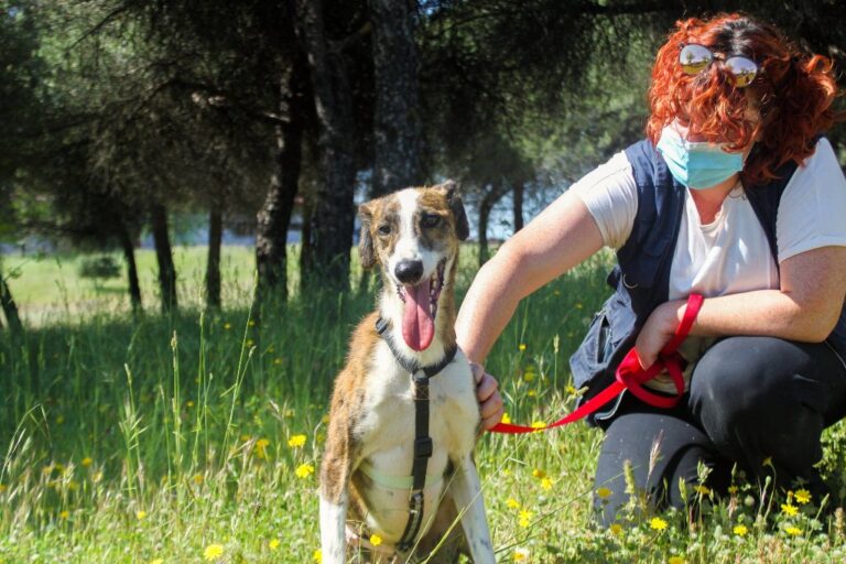 multimedia-foto65794-268-1