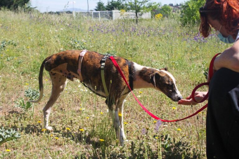 multimedia-foto65795-268-1