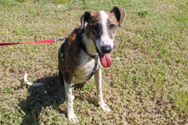 multimedia-foto65798-270-1