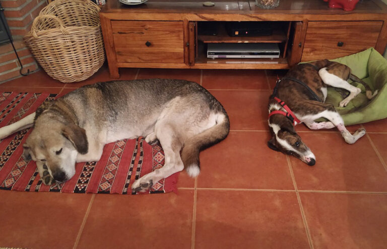 multimedia-foto65800-271-1