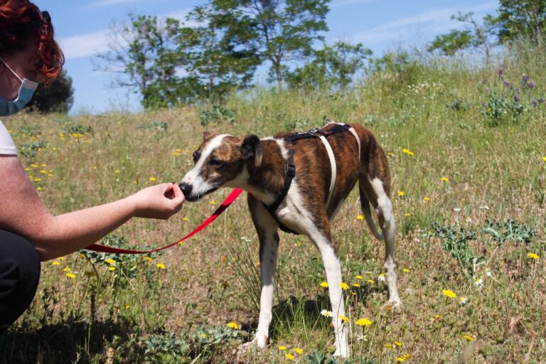 multimedia-foto65801-271-1