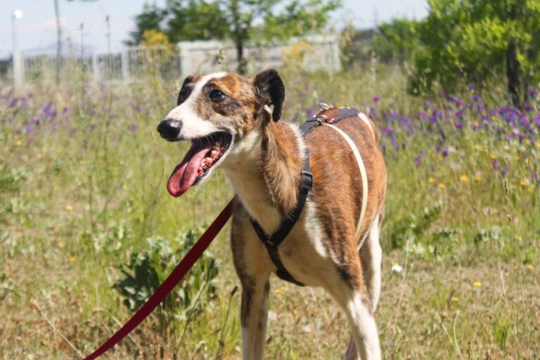 multimedia-foto65802-272-1