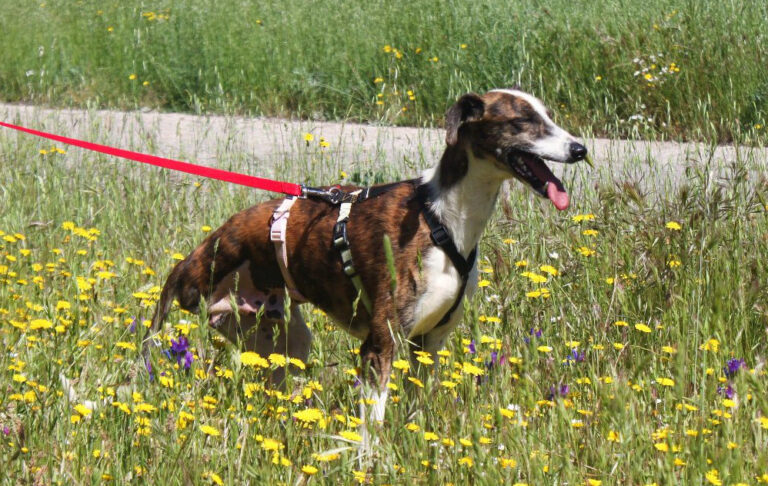 multimedia-foto65803-272-1