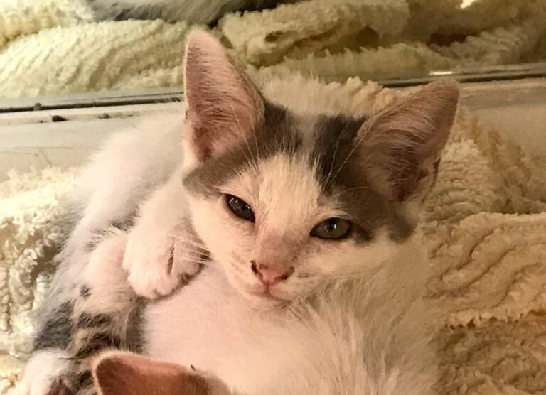 multimedia-foto65827-282-1