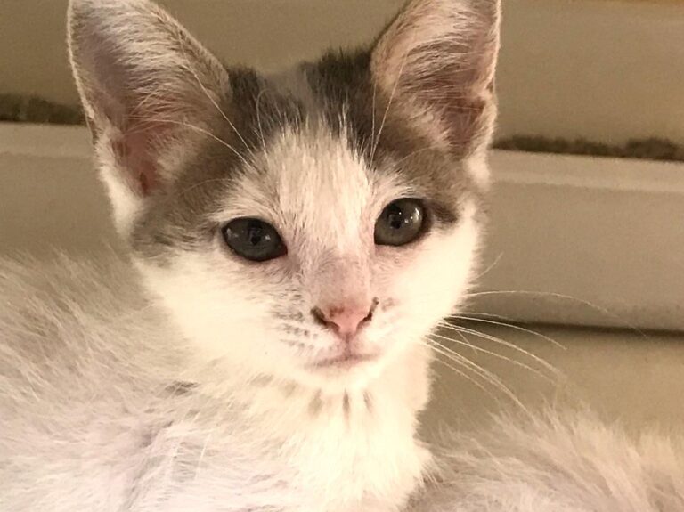 multimedia-foto65828-282-1