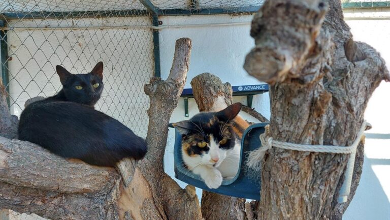 multimedia-foto65846-229-1