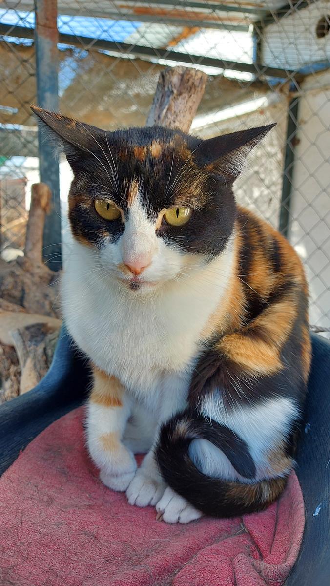 multimedia-foto65848-230-1