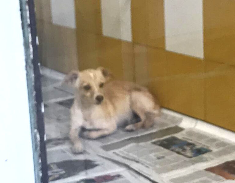 multimedia-foto65858-35-1