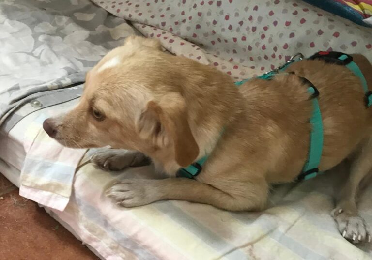 multimedia-foto65859-35-1