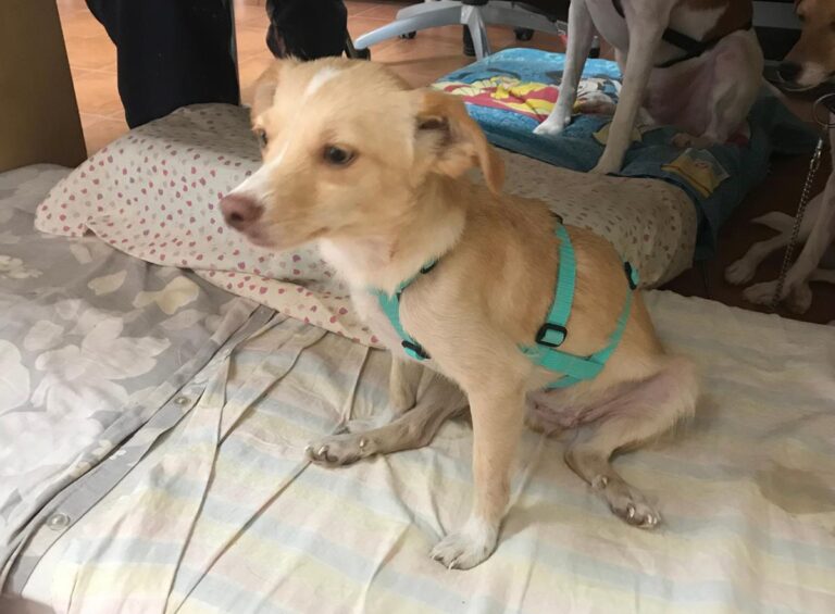 multimedia-foto65860-36-1