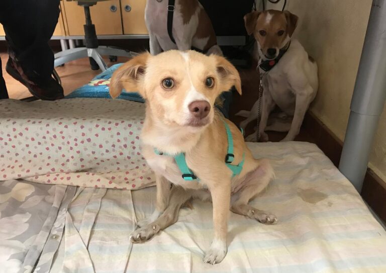 multimedia-foto65861-36-1