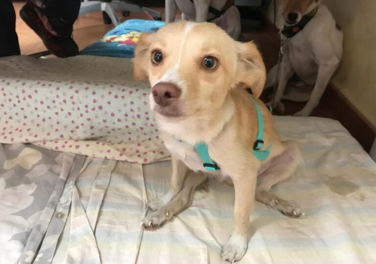 multimedia-foto65862-37-1