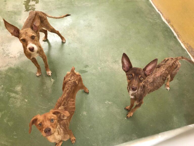 multimedia-foto65872-509-1