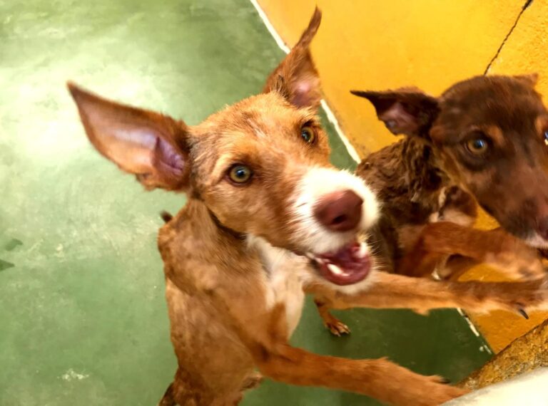 multimedia-foto65873-510-1