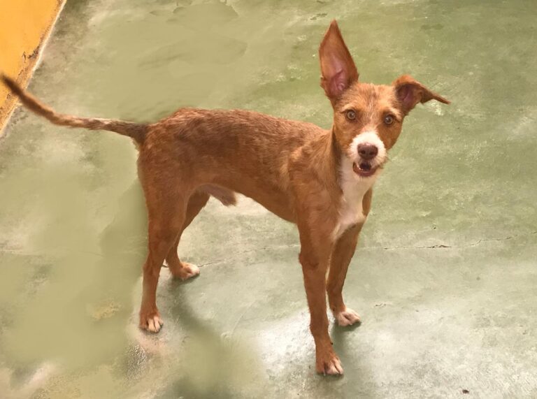 multimedia-foto65874-510-1