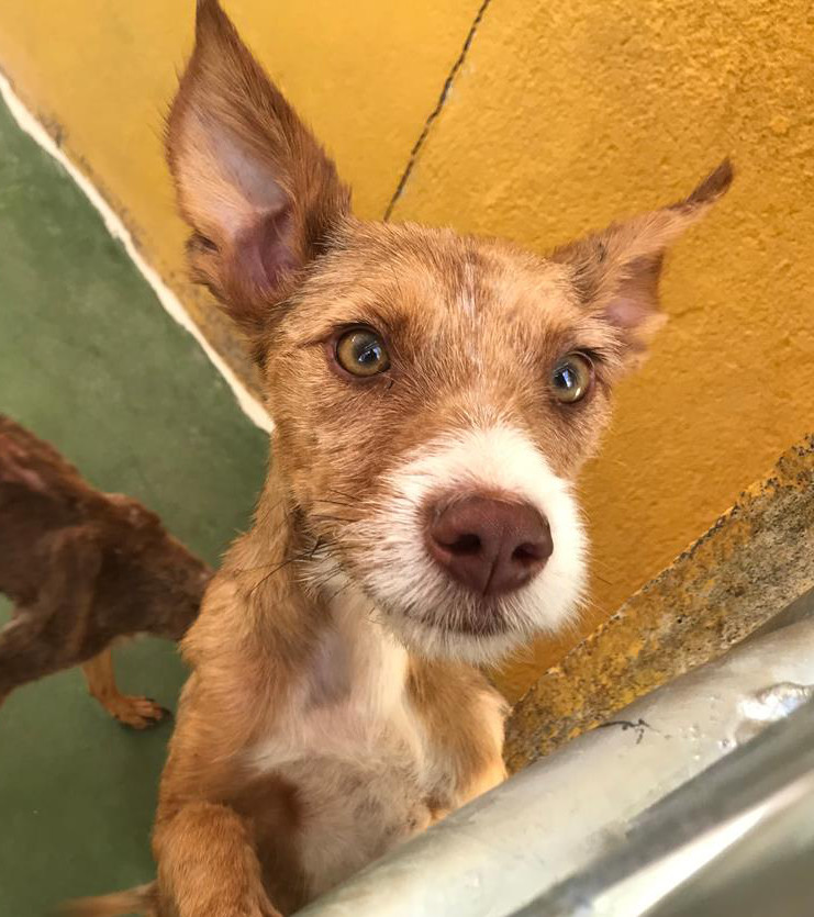 multimedia-foto65877-512-1