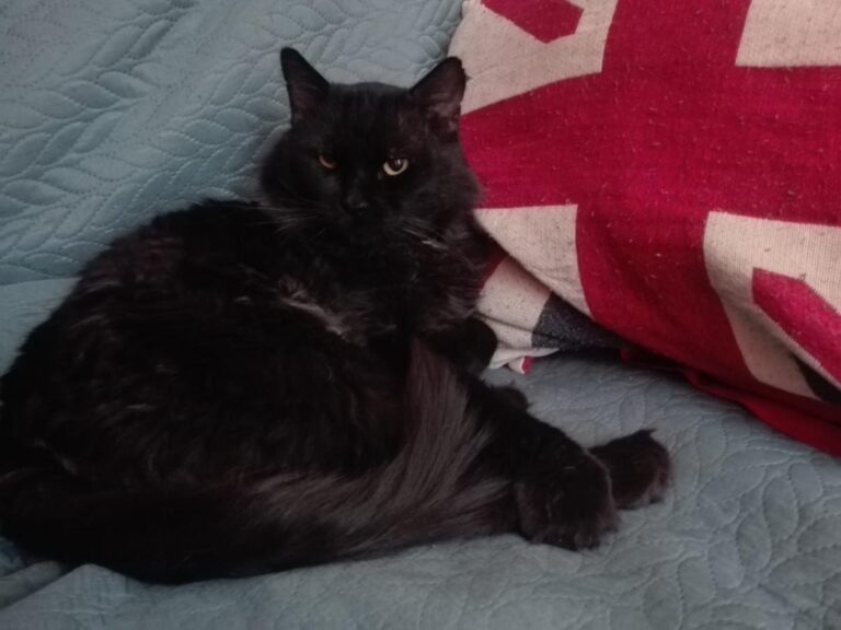 multimedia-foto65878-640-1