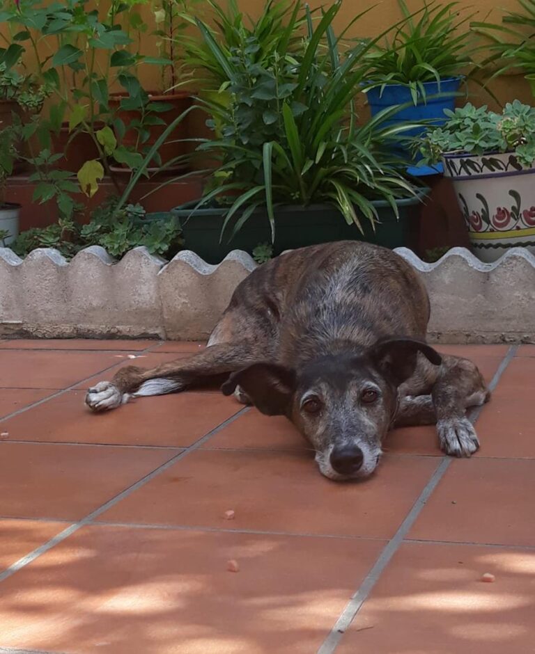 multimedia-foto65879-682-3