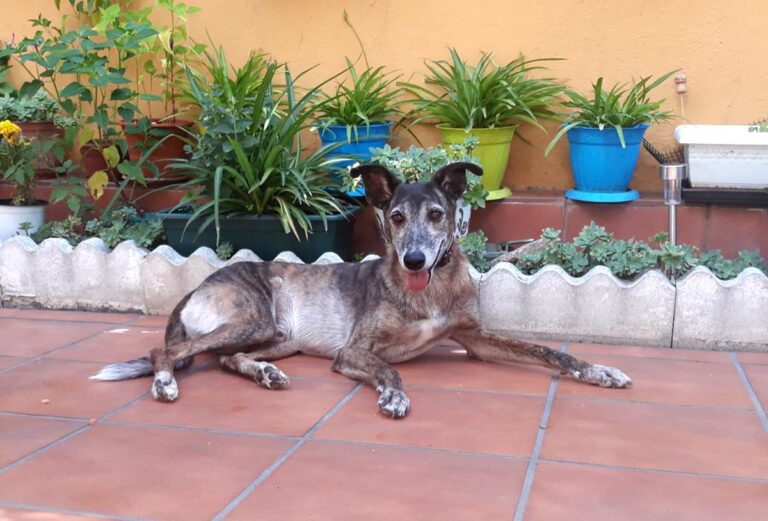 multimedia-foto65880-682-3