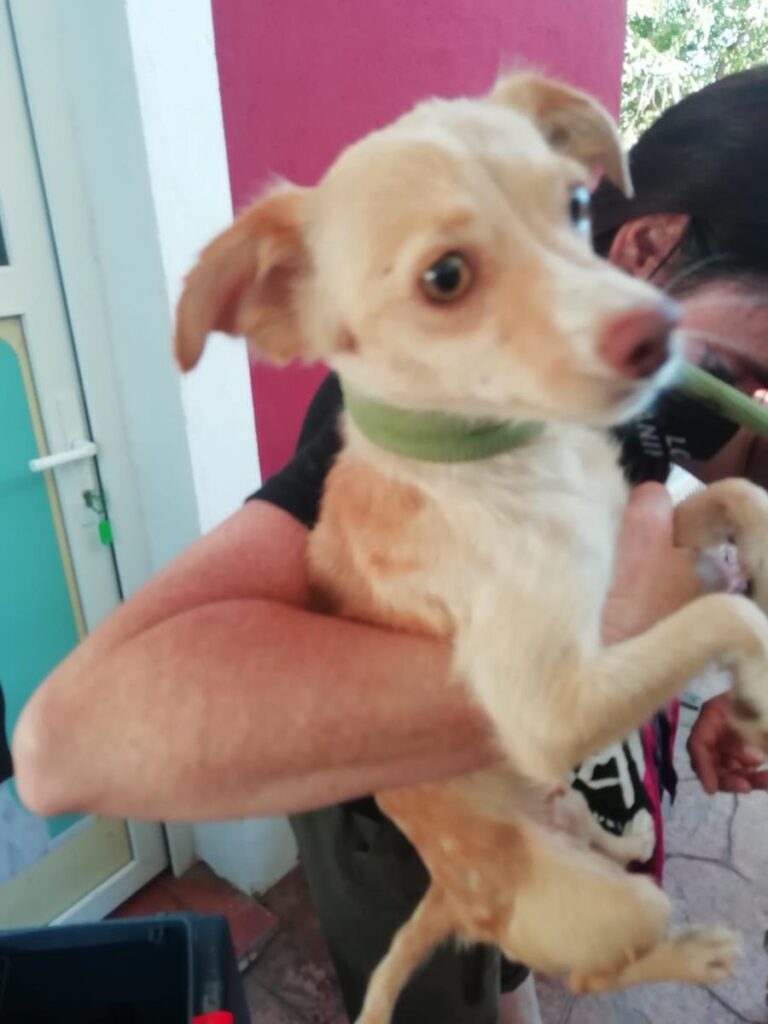 multimedia-foto65887-187-1