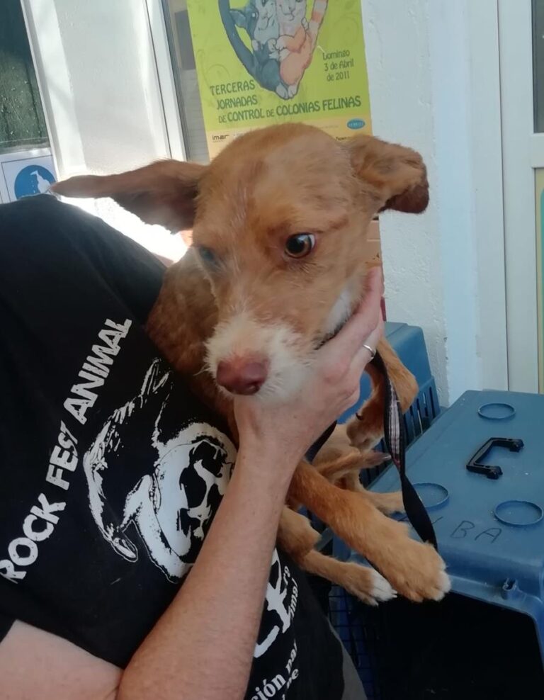 multimedia-foto65894-576-1