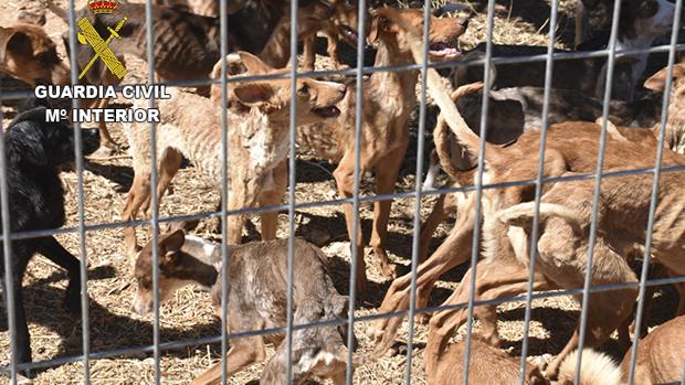 multimedia-foto65895-577-1