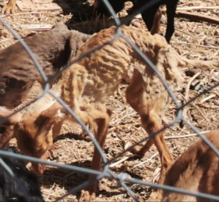 multimedia-foto65898-733-1