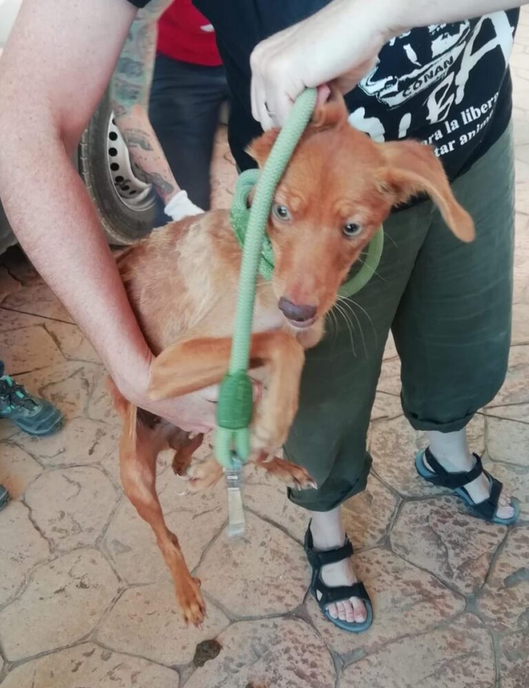 multimedia-foto65899-733-1