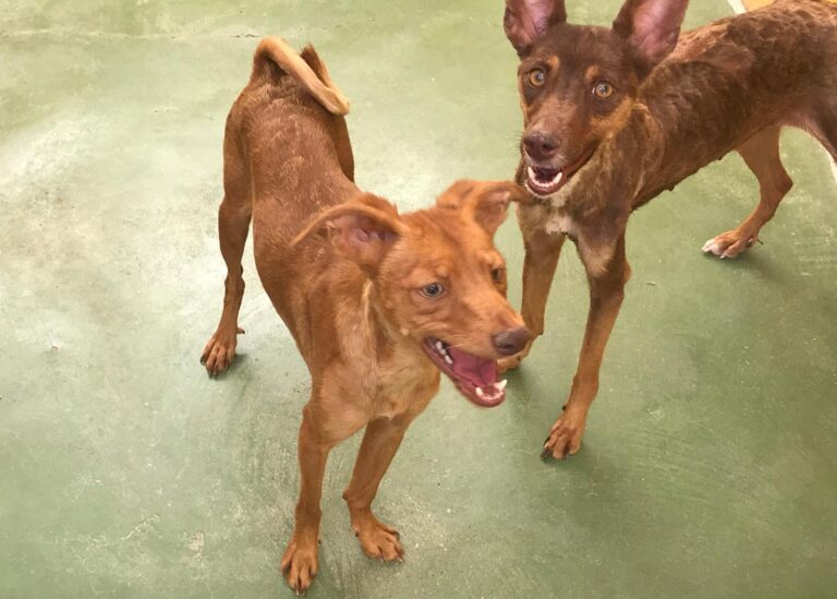 multimedia-foto65901-734-1