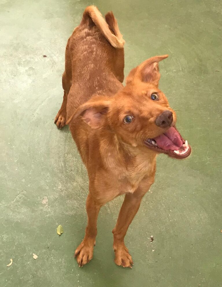 multimedia-foto65902-735-1