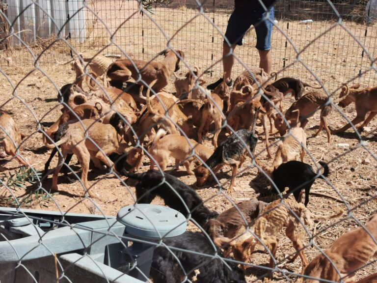 multimedia-foto65946-714-1