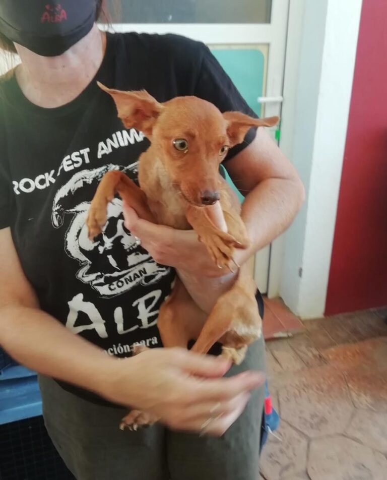 multimedia-foto65948-715-1