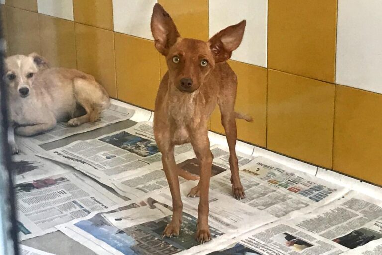 multimedia-foto65950-716-1