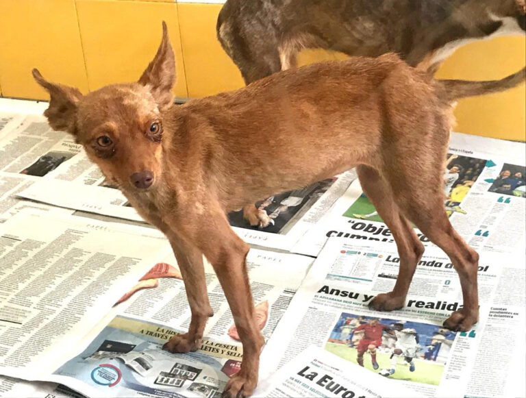 multimedia-foto65952-717-1