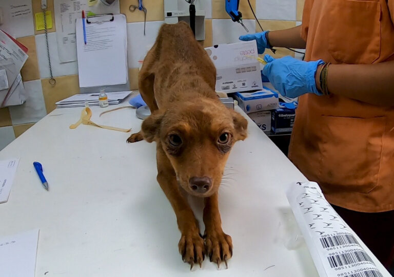 multimedia-foto65954-719-1